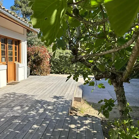 בית נופש Le Refuge Du Pyla